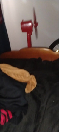 Anal Play