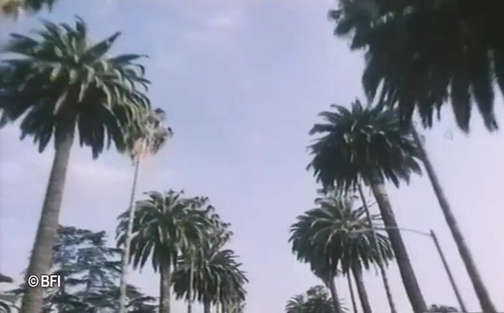 Vintage Vixens: Casetă sexuală retro din Beverly Hills - subtitrări în olandeză