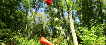 Mesmeriza compilatie 12 Eiland van Vergetelheid