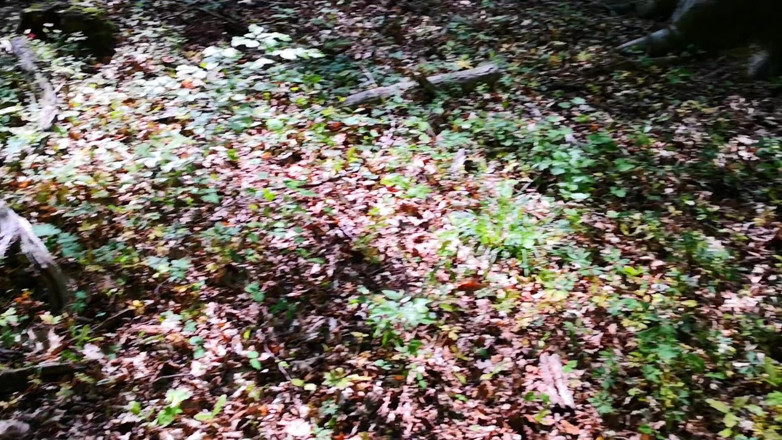 Bouncy Tits Action: Spank my ass and tits outdoor while I'm naked