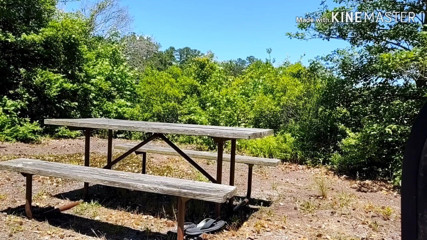 MrandMrsTailor: Almost caught! Older man fucks curvy MILF on picnic table