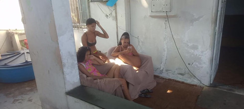 Bebes vagabundas