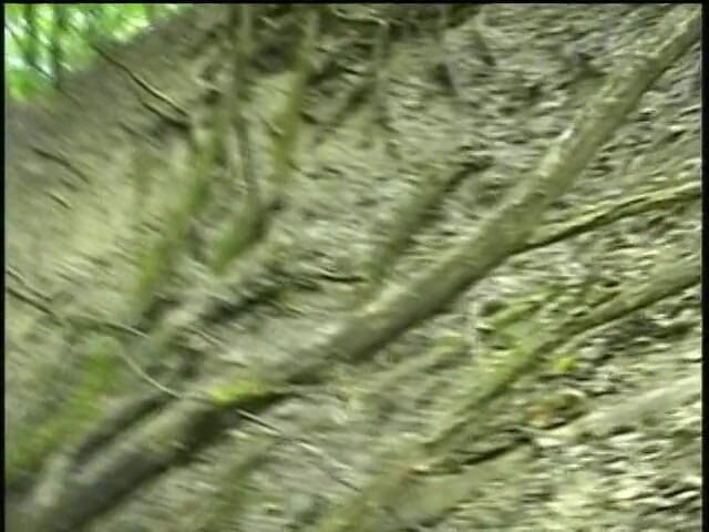 Boy Zone: Amateur boy masturbating in the forest
