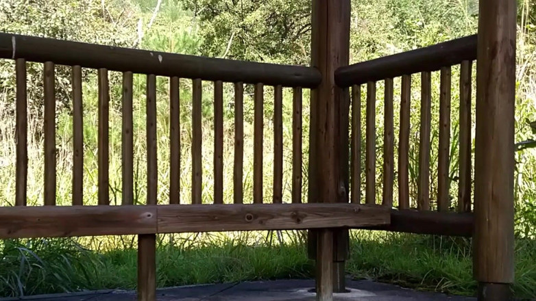 Pai-chan: Cameriera senza mutandine nel parco
