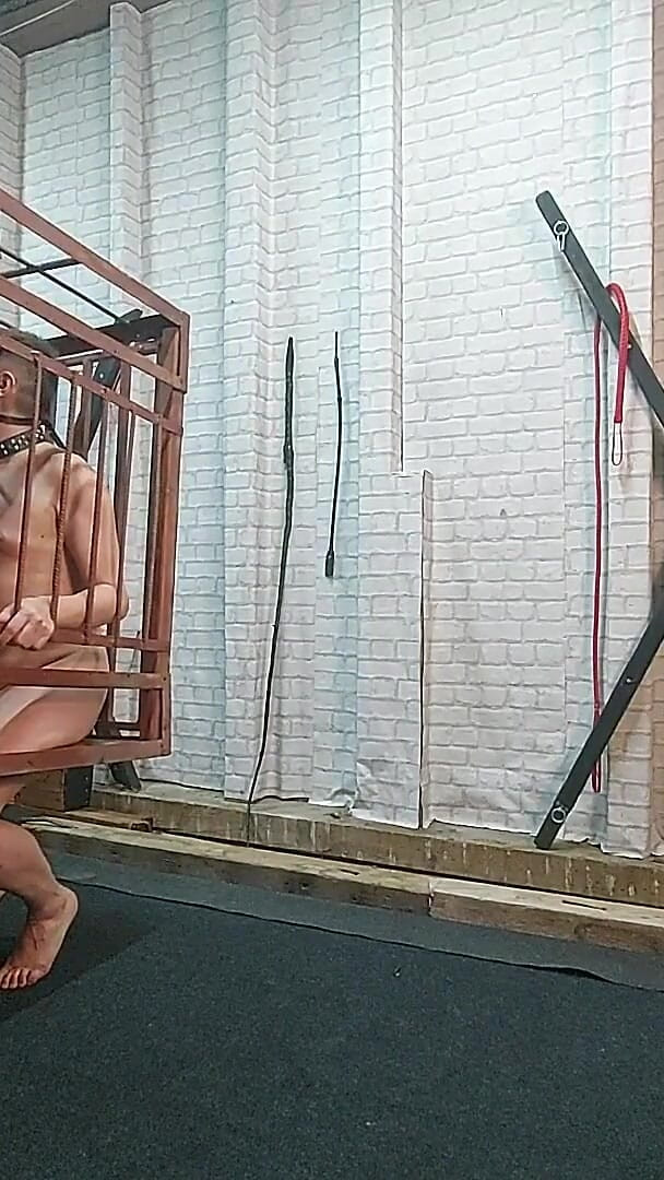 I Put My Slave in a Cage and Make Him Lick My Dirty Heels (Your Local Domina)