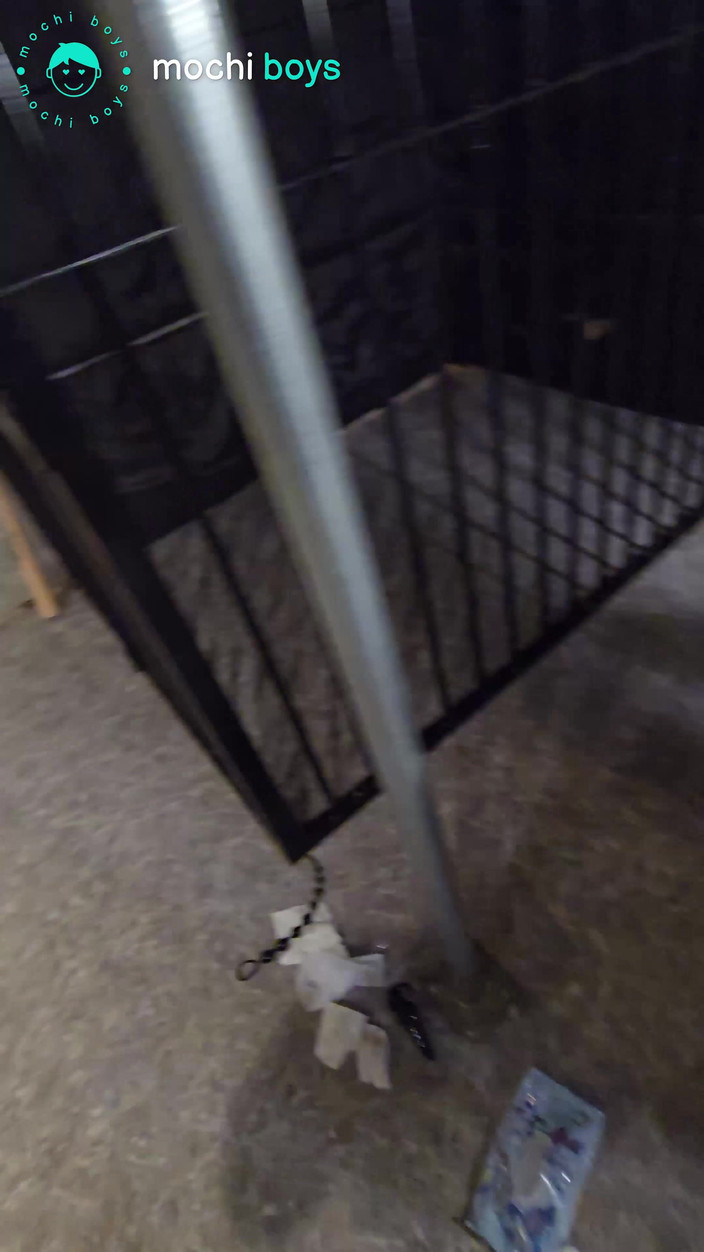 Mochi Boys: Бейсбол за кулисами - эксклюзивная подписка