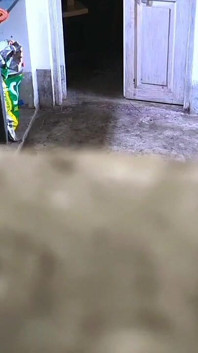 Sexe desi au bureau, vidéo secrète de moi-même et appréciée