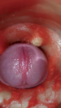 Crot tanpa sperma. Kamera Internal yang luar biasa. Video resolusi 4K