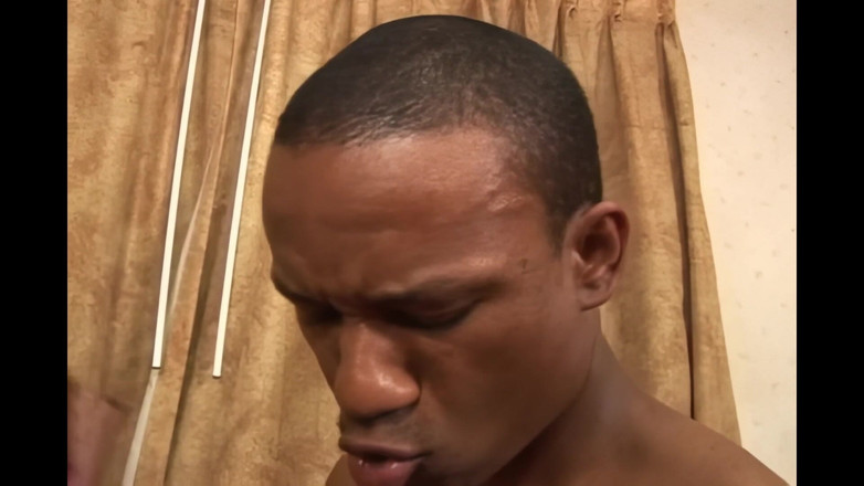 2 much love: Piégé Et Ta Grosse Chatte