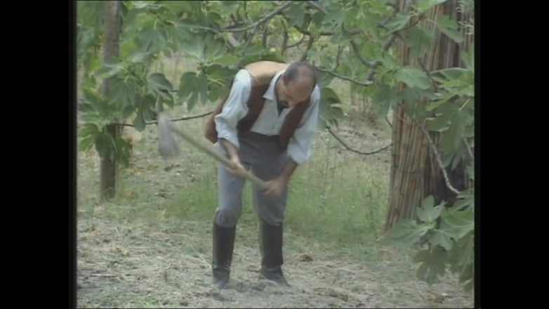 MMV TV - our best full movie: Günahkar bir oyun alanında sert sikiş ve amına tapma (tam porno...