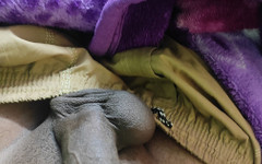 Dasi sexy boy: Video di sborrate