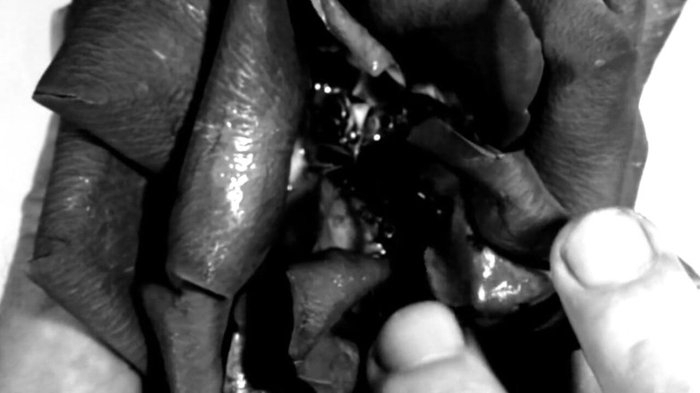 Kane Santiago: El fetişi - ellerim çiçek ve meyveleri mahvediyor