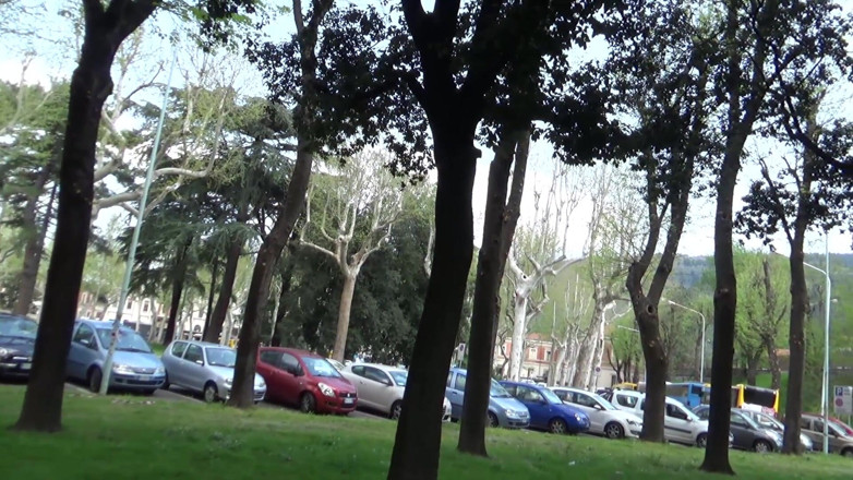 King Of Amateur: Curva de grădină