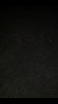 Backyard Piss