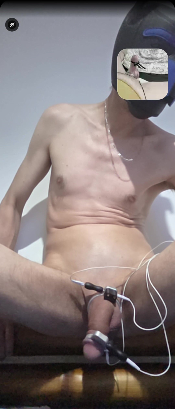 Prostatecumer: Cățelușul este muls de Electrosex până explodează