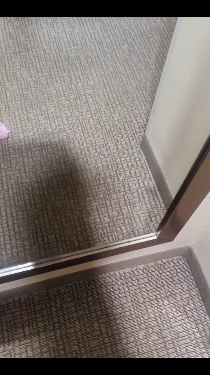 ElementX1018: 자지 빨기를 원해!