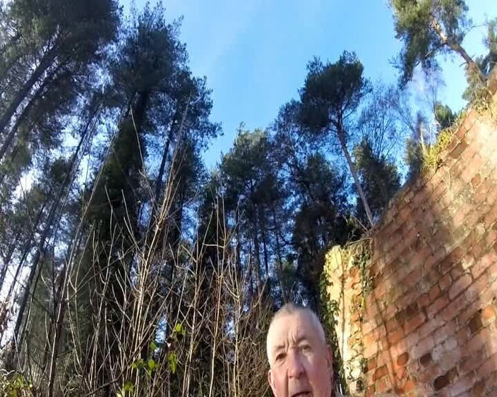 Andy: Веллингтоны в лесу