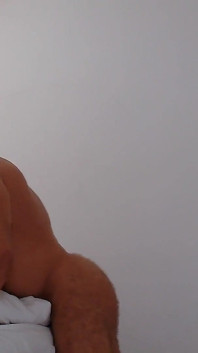 Athletic, Hairy Bear Flexing Muscle in Many Pose