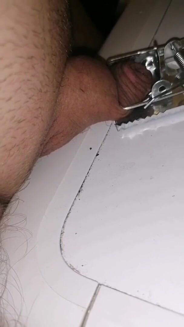Adashah: Mučení mikropenis past na myši BDSM cbt sph
