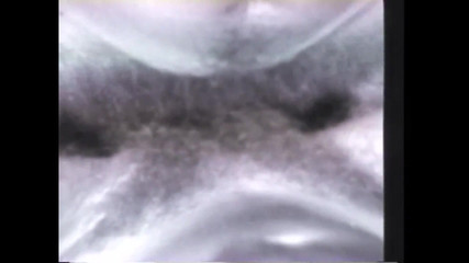 Vintage Megastore Full hd: 欲望的傻瓜们