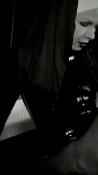 Trailer 376