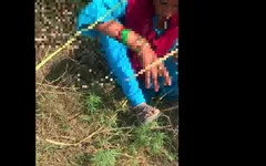 जंगल में देसी रंडी सेक्स