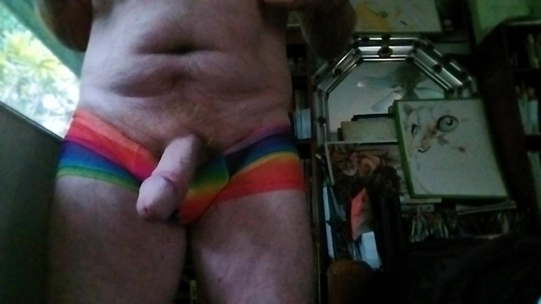 Hairyartist: Pridewear