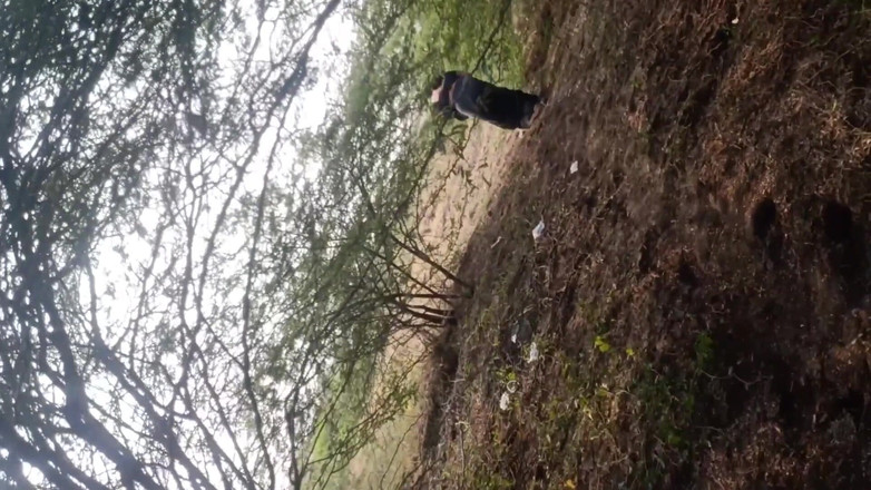 Desi village sex: Tetička venkovní vesnický sex