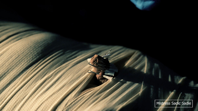 Sadic Sadie: 미라화, 주사, 인지행동치료, 전기 놀이가 포함된 의료 게임.