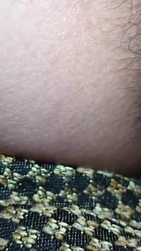 Înger asiatic 23360