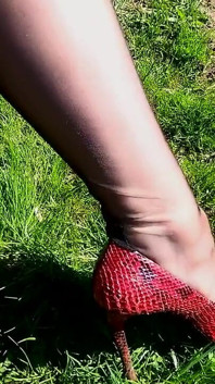 That was the sunny, spring day. I was sitting on a bench in the garden