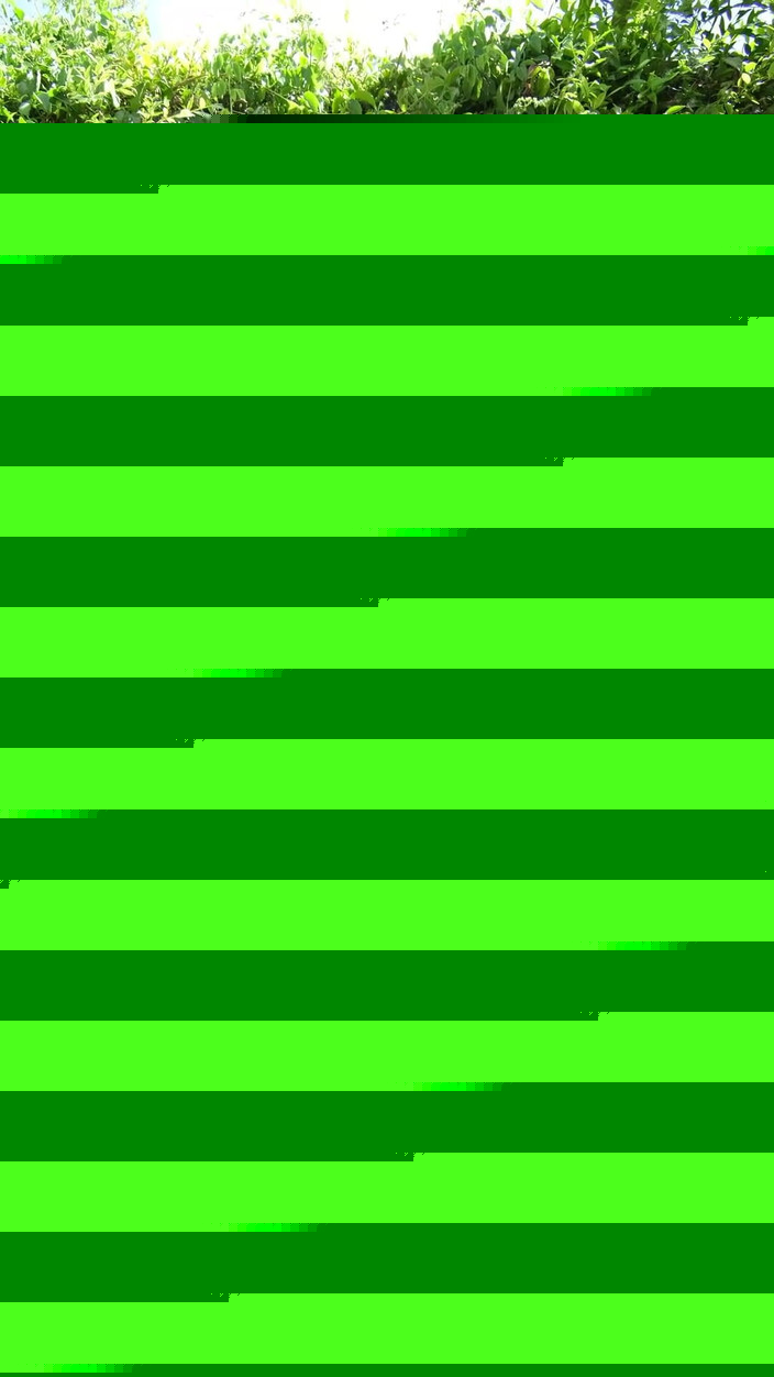 PassionBunny: Super sexy naakte cheerleader toont zich voor je