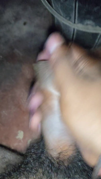 Musterbate