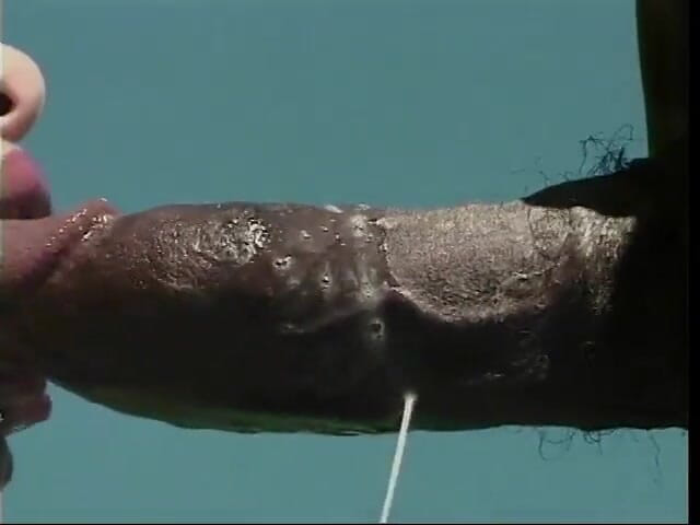 First Black Sexperience: chamre ke giyar men kaale baal vaali vixen apni chudaee...