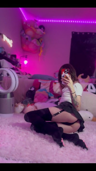 Kitten