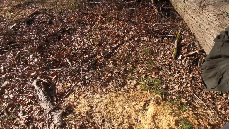 Bouncy Tits Action: Natureza aberta e peitos duros