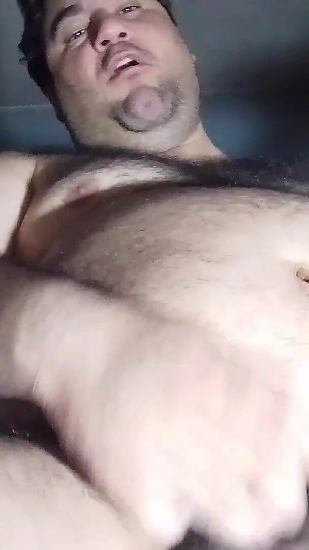 Hot Pork (Gordito pig) Hot Pork (Gordito pig)
