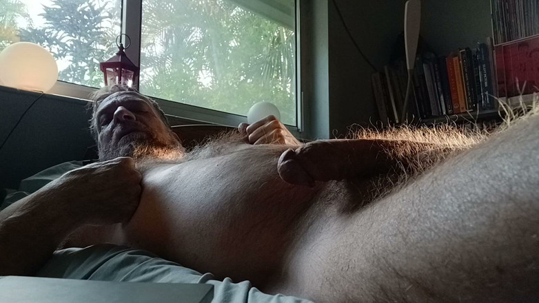 Hairyartist: Will's Relaxation Trigger