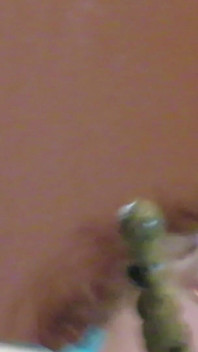 Nurse Vicki is being really nasty for you a requested video