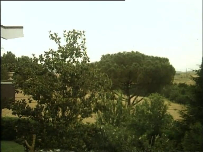 Vintage megastore: Dbl 029 - 마리나 더 핫한 님포마니아