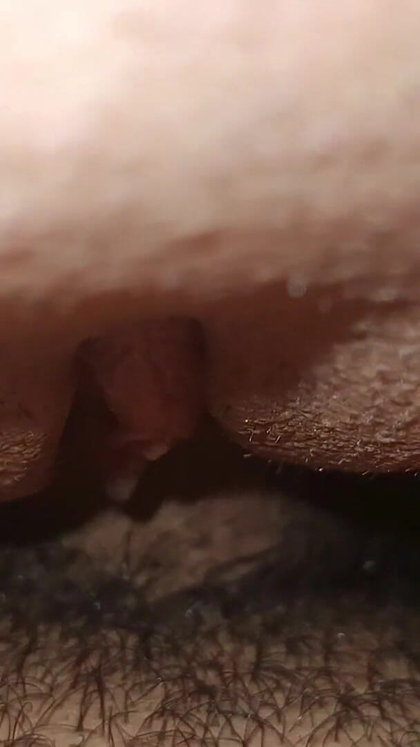 Lively habiba: Gordita Esposa Follada Duro