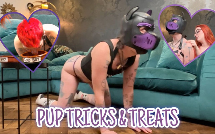 Punk Goblin: Pup Boy Triky a pochoutky