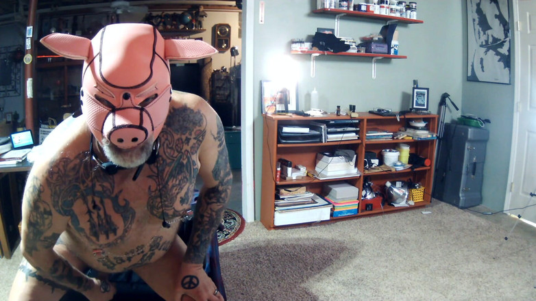 City hog: Rover se vuelve porky