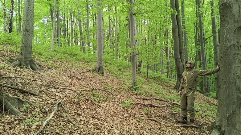 Boris Heycall: I Chase Him Through the Leaves