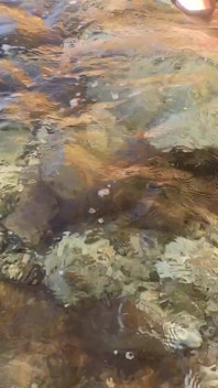 Swimming Naked in Cyprus