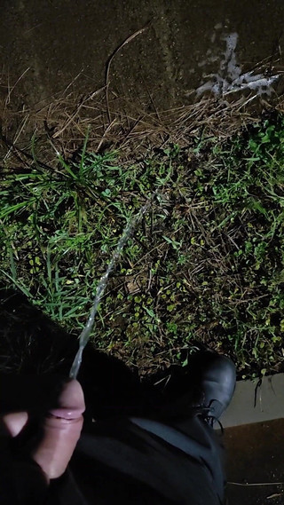 Guivideos: Pissing kompilace 2