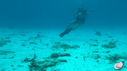 Mistress Pink Pearl: O samotě v Bonaire