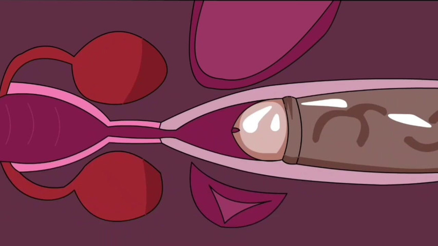 Internal Ejaculation 2 (animation) (Animate golden) Internal Ejaculation 2 (animation) (Animate golden)