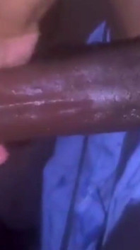 Afrikanische schönheit 1