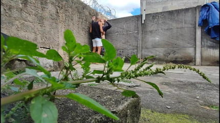 carmonaoficial: जंगल में कैमरा फिल्मों दो विषम कमबख्त